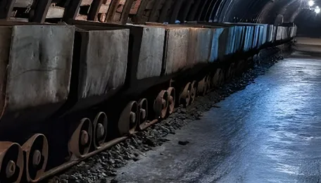 Environment Ministry's advisory panel gives approval to coal mining in Chhattisgarh's Hasdeo-Arand forest 