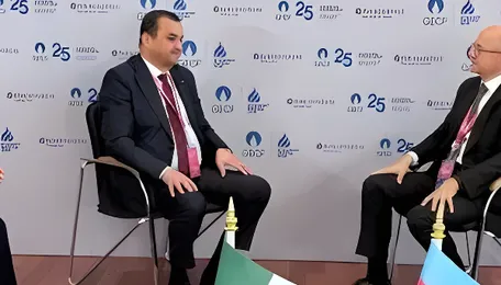 Baku, Algiers discuss oil and petrochemical trade 