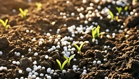 Geopolitical price pressure hits fertilizer and flame retardant market