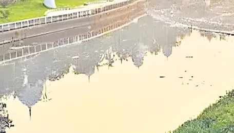 Musi rejuvenation plan to include resident rehabilitation 