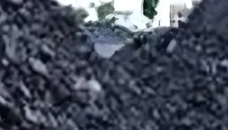 Bengal coal-to-gas project moves ahead; global technology hunt begins 
