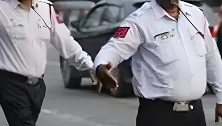 Gurugram Sees Sharp Rise In Traffic Violations