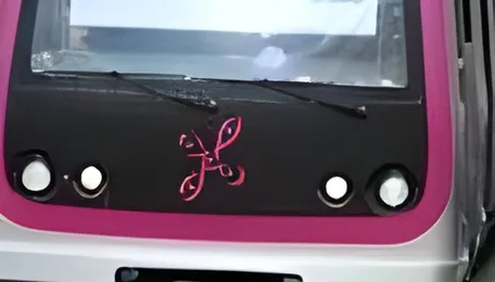 Bengaluru Metro Faces Surge in Passenger Misconduct