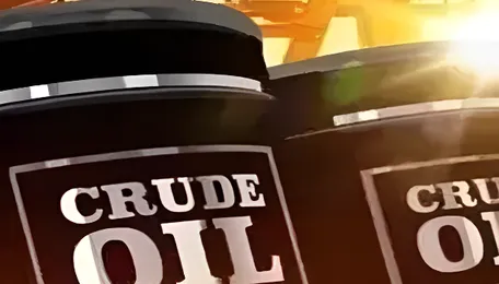 India Oil Economy: The world was surprised to see how much India's oil economy has changed in 5 years 