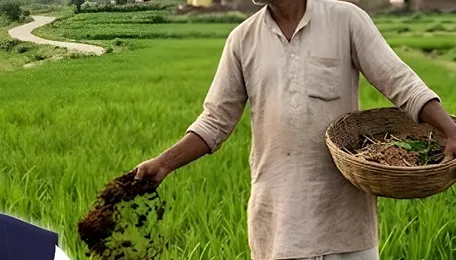 News24 Exclusive: Threat to India’s food security? PM’s appeal to reduce usage of chemical fertilizers; What it means for country’s crop production 
