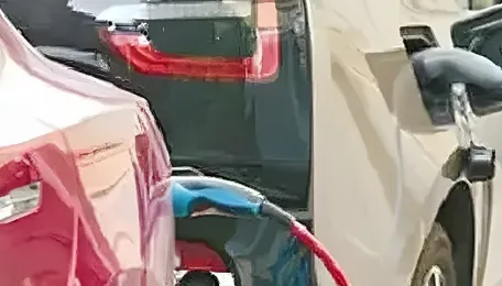 Our criminal neglect of the environment can ‘kill’ future generations 