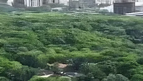 Malabar Hill Water Tank Plan Draws New Objections