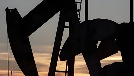 Haldia Petrochemicals turns to Oman naphtha as Iran war disrupts supplies, shipping data show 
