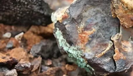 India-Chile CEPA to boost New Delhi's critical minerals quest | Policy Circle 