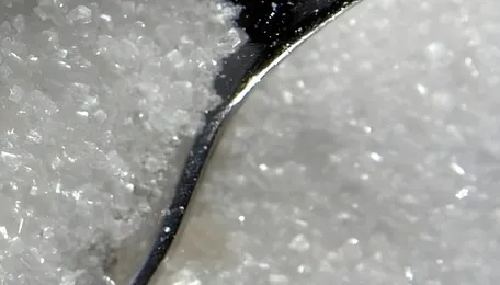 Government Plans Circular Economy Model for Cooperative Sugar Sector 