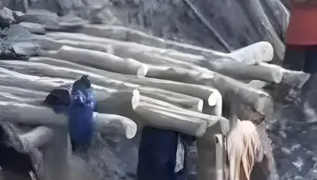 Centre bolsters anti-illegal mining crackdown, empowers NEC, Coal India 