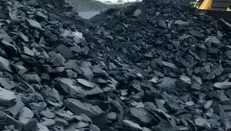 China coal imports fall 14% in April, customs data shows 