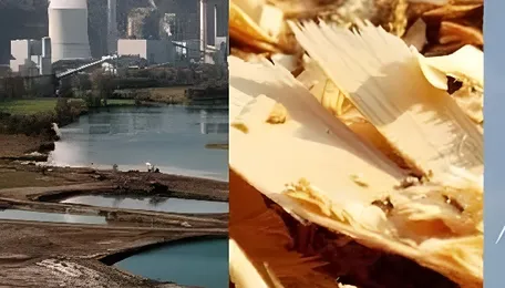 India must tap new sources to boost energy production 