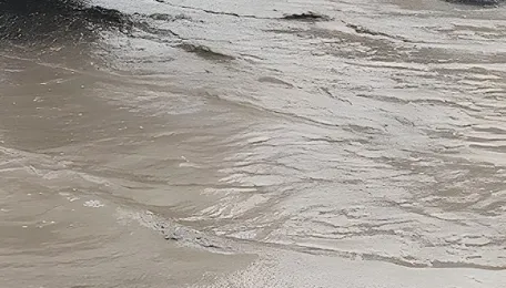 Bhiwandi Flyover Crumbles Just Nine Years After Inauguration, Triggering Public Outrage