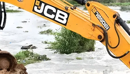 Bengaluru Bellandur Lake Revival Faces Bigger Challenges