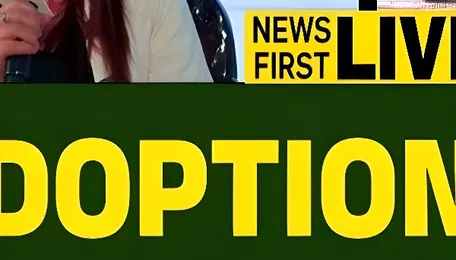 From ₹30,000 fuel bills to zero running cost: Experts explain when EVs truly make sense 