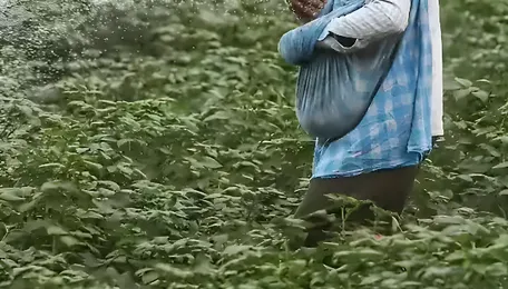 Supply to urea plants steady at 70–75% of last 06-month average; additional LNG and RLNG being sourced to maintain supplies 