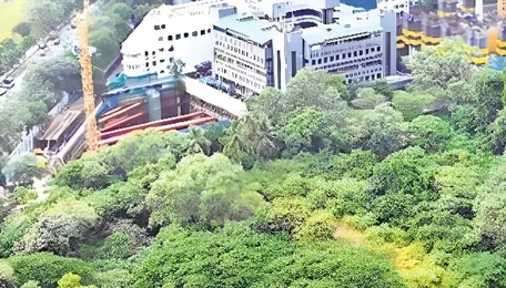 Nagpur Tender Scrutiny Raises Concerns Over Quality Bids