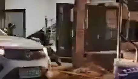 E-rickshaw Tows Dead Tata Nexon.EV Electric SUV: Video Goes Viral 