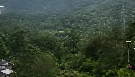 Western Ghats ESA Notification Faces Fresh Karnataka Pushback
