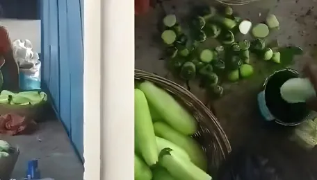 India’s favourite summer snack under scanner! Viral Cucumber dye clip exposes disturbing threat of chemical-Laced vegetables, watch 