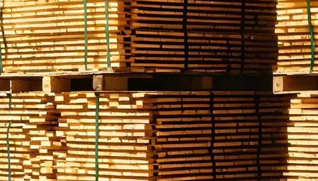 Greenply subsidiary acquires 26% stake in Albano Solar for 1.5 MW captive power plant 