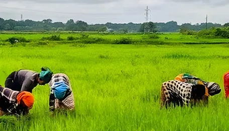 18.19 lakh farmers join natural farming drive as India focuses on soil health 