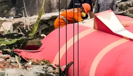Air India crash: Pilots’ body points to electrical glitch, not cockpit action 