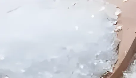 India needs to double sugar exports as surplus rises on lower ethanol output