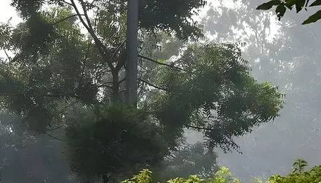 Delhi CM Warns DMRC Of Action For Flouting Dust Control Norms