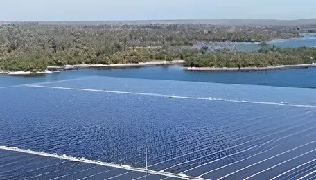 Clean Energy at What Cost? 