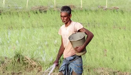 73% of India's fertiliser needs met through domestic production in 2025 