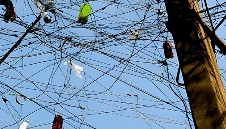 Powercom sees over two-fold rise in electricity theft, wrong metering 