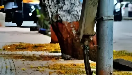 Nagpur Footpath Encroachment Sparks Urban Mobility Debate