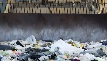 City Moves Ahead With Integrated Solid Waste Facility