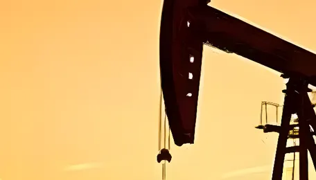 Govt orders oil and gas firms to share data with PPAC