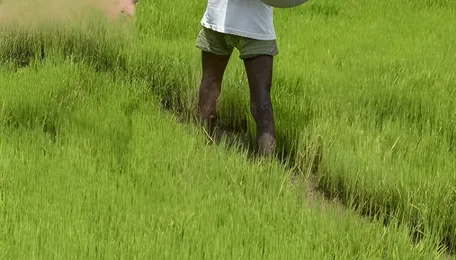 India’s dual dependence on West Asia for urea production 