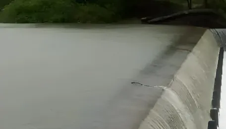 Mumbai Water Reserves Strengthen As Lakes Near Full
