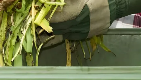 Delhi gets first green waste processing plant near ITO