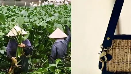 Nagpur Turns Water Hyacinth Waste Into Eco-Craft Livelihoods