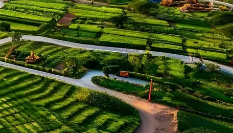 Vadodara Lift Plant Boosts Real Estate Growth