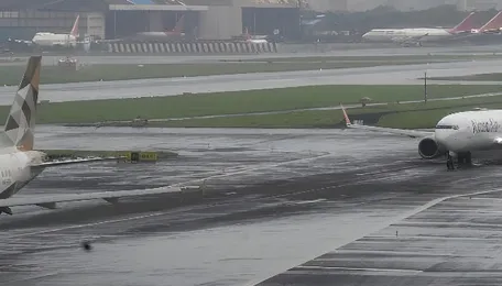 Surat airport wildlife strike raises aviation safety concerns