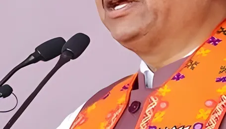 Maha to cut power tariffs 3 per cent yearly; state enters Guinness record for solar farm pumps 