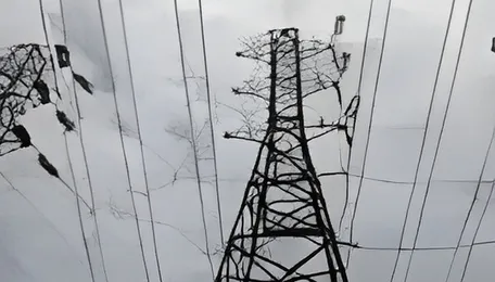 Grid India seeks steering panel for market coupling