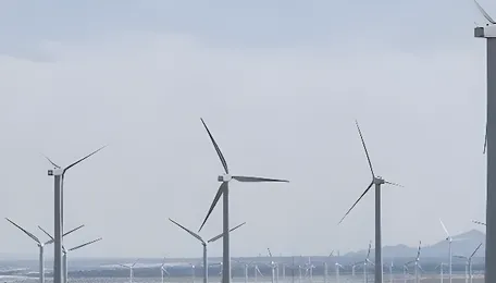 Best Green Energy Stocks in India: Companies, Performance and Risks 