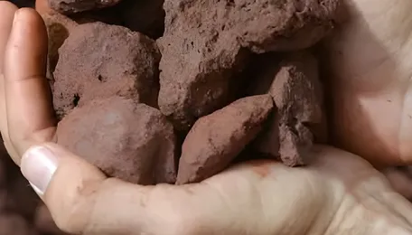 Iron ore dips as rising freight rates impede steel exports