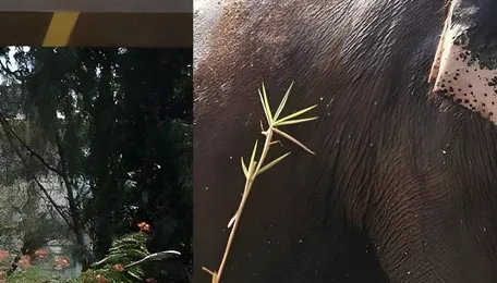 Byculla Zoo Exotic Zone To Get 18 New Species Enclosures Soon