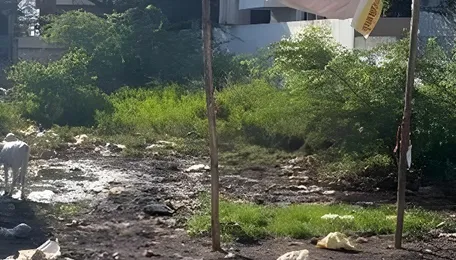 Bengaluru Vacant Plot Cleanup Moves Into Enforcement