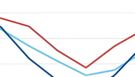 India: Dry bulk coal freights face pressure amid lower fixtures, falling FFAs 