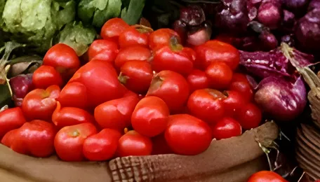 India WPI inflation rises to 8.3 pc as global oil prices spike 